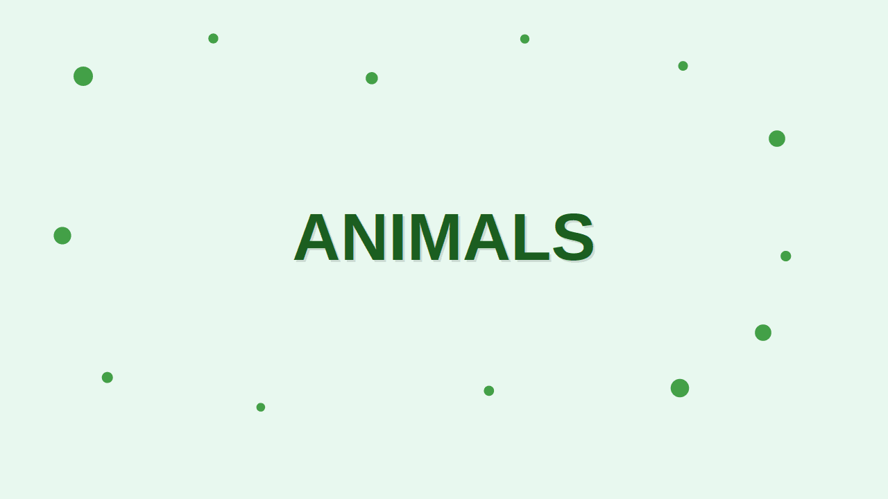 Animals